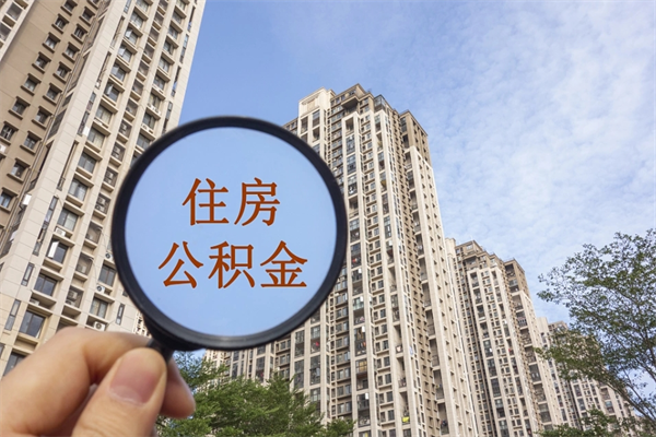 桐乡个人公积金去哪儿取（住房公积金个人到哪里提取）